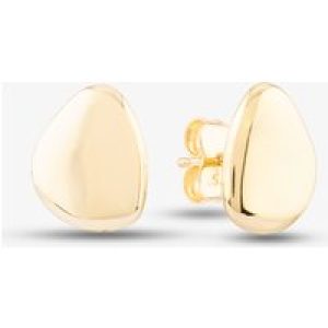 9ct Yellow Gold Pebble Stud Earrings GE2161
