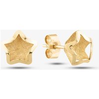 9ct Yellow Gold Satin Brushed Star Stud Earrings SE870