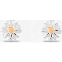 Rosa Lea Daisy Heart Stud Earrings AM-2THB028107 RG