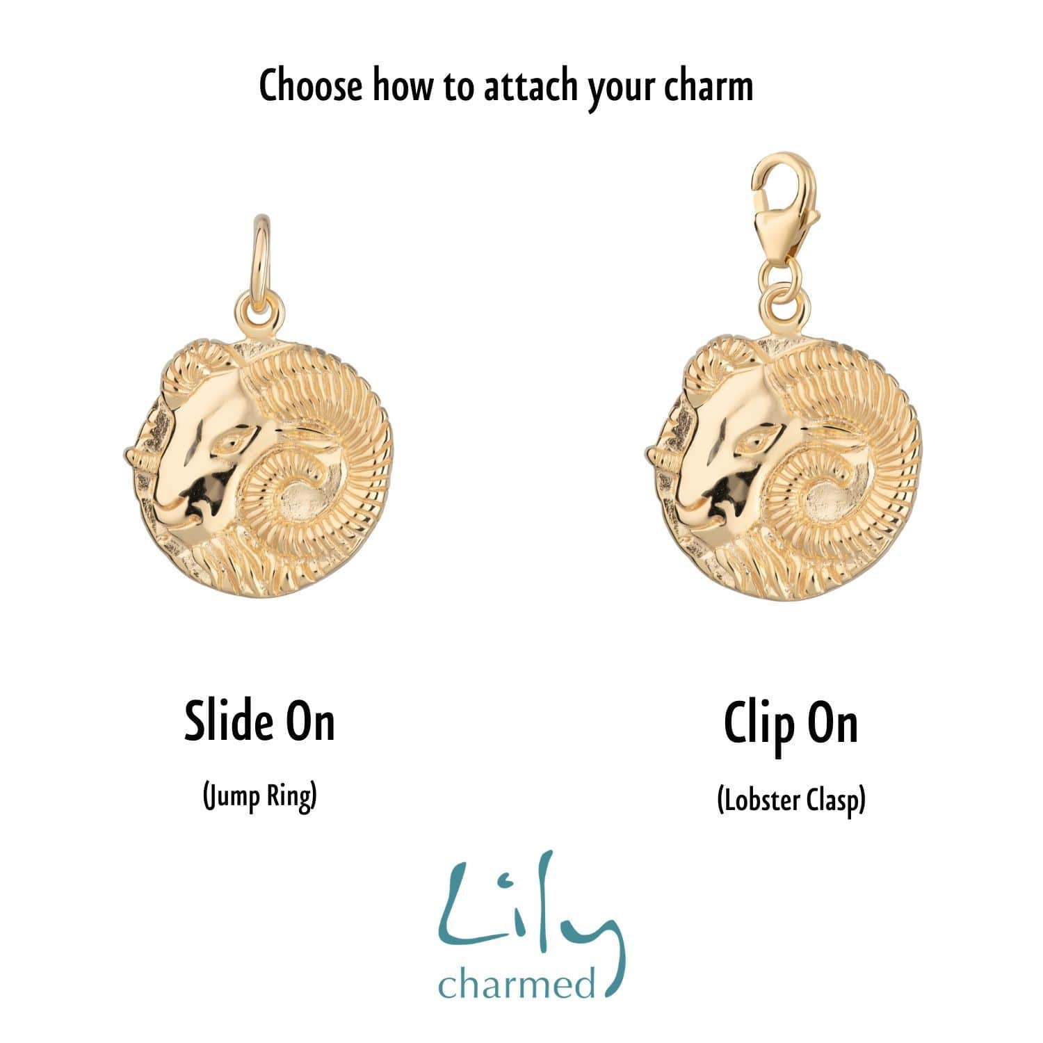 Gold Plated Zodiac Appeal