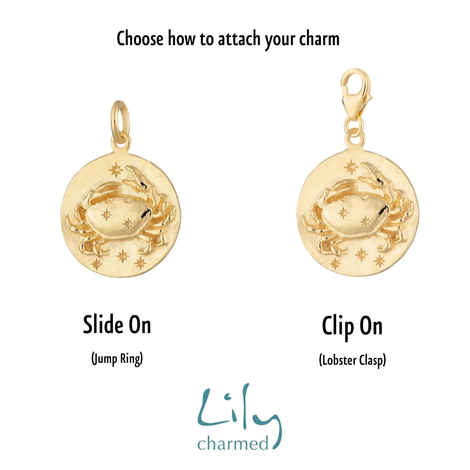 Gold Plated Zodiac Attraction