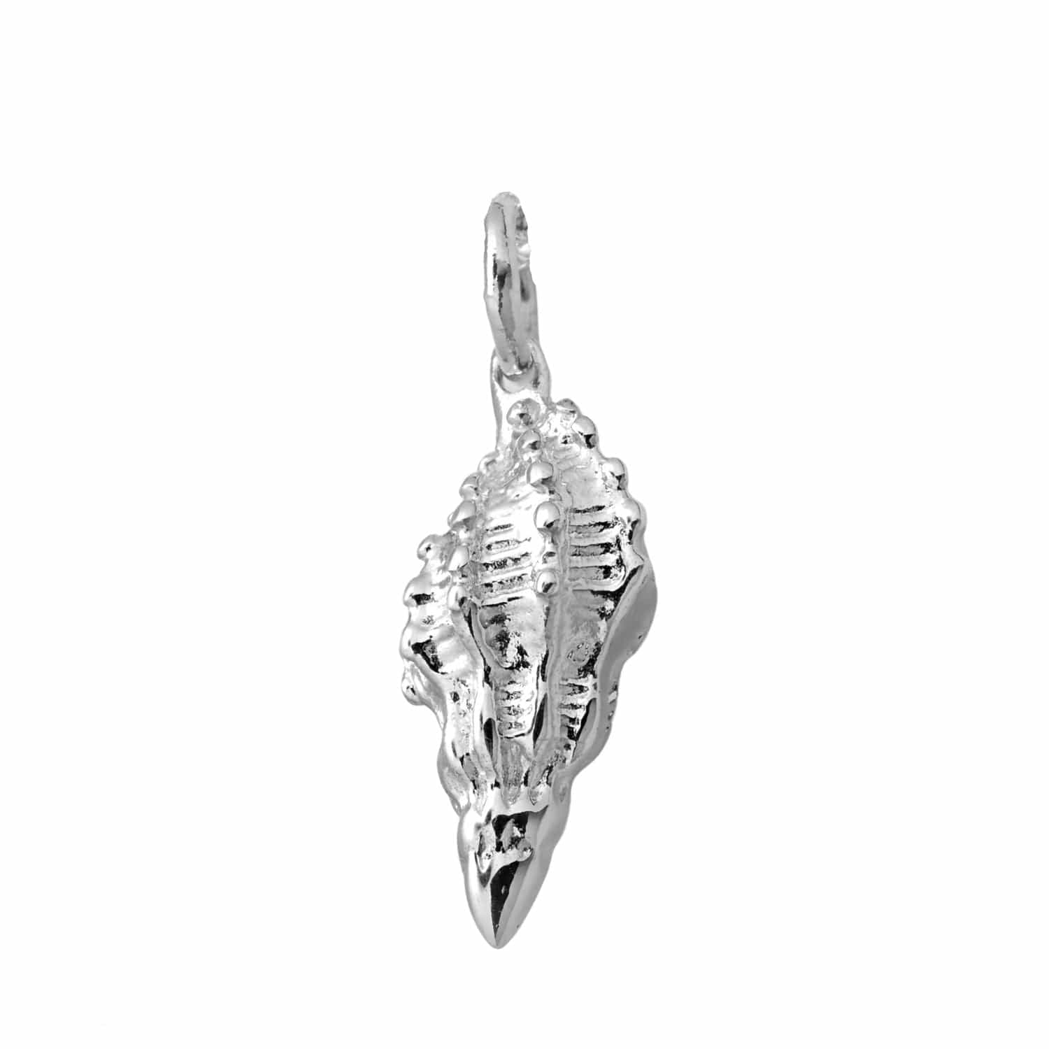 Silver Conch Shell Appeal