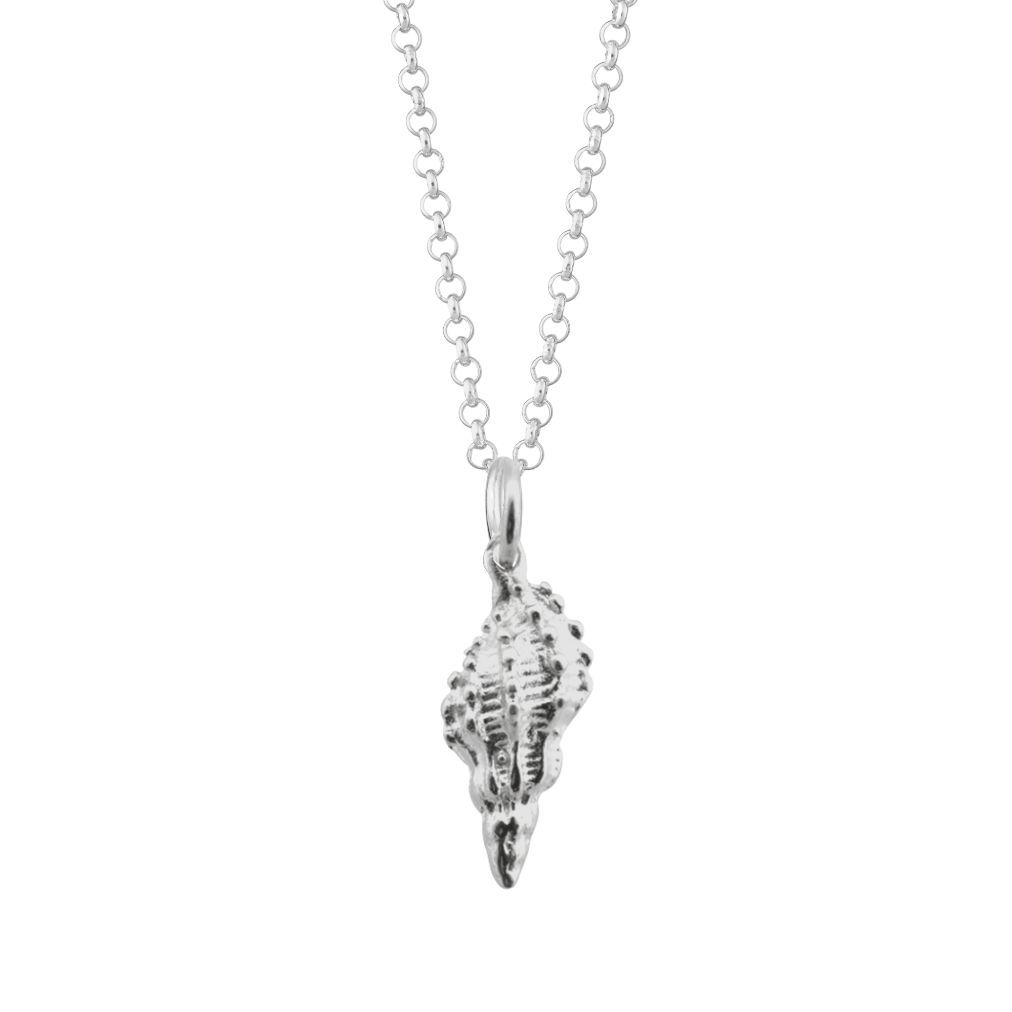 Silver Conch Shell Necklace