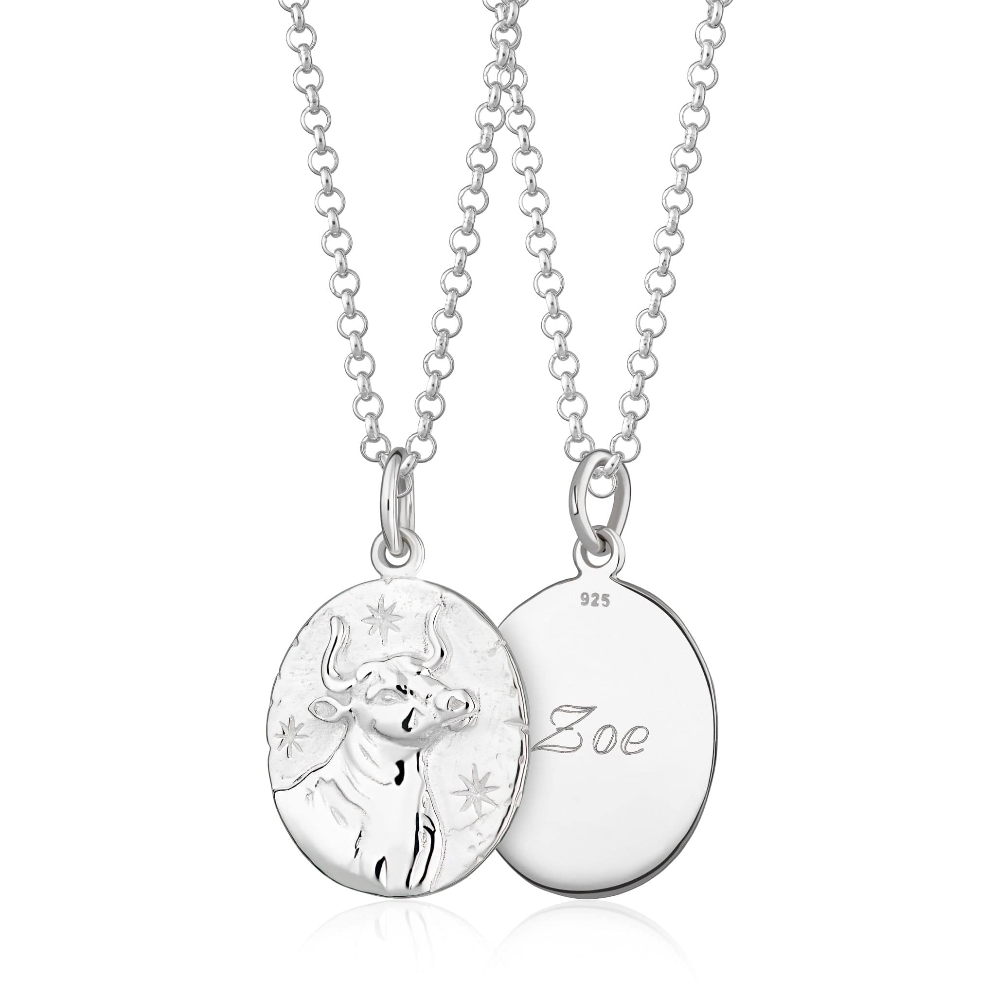 Silver Zodiac Necklace