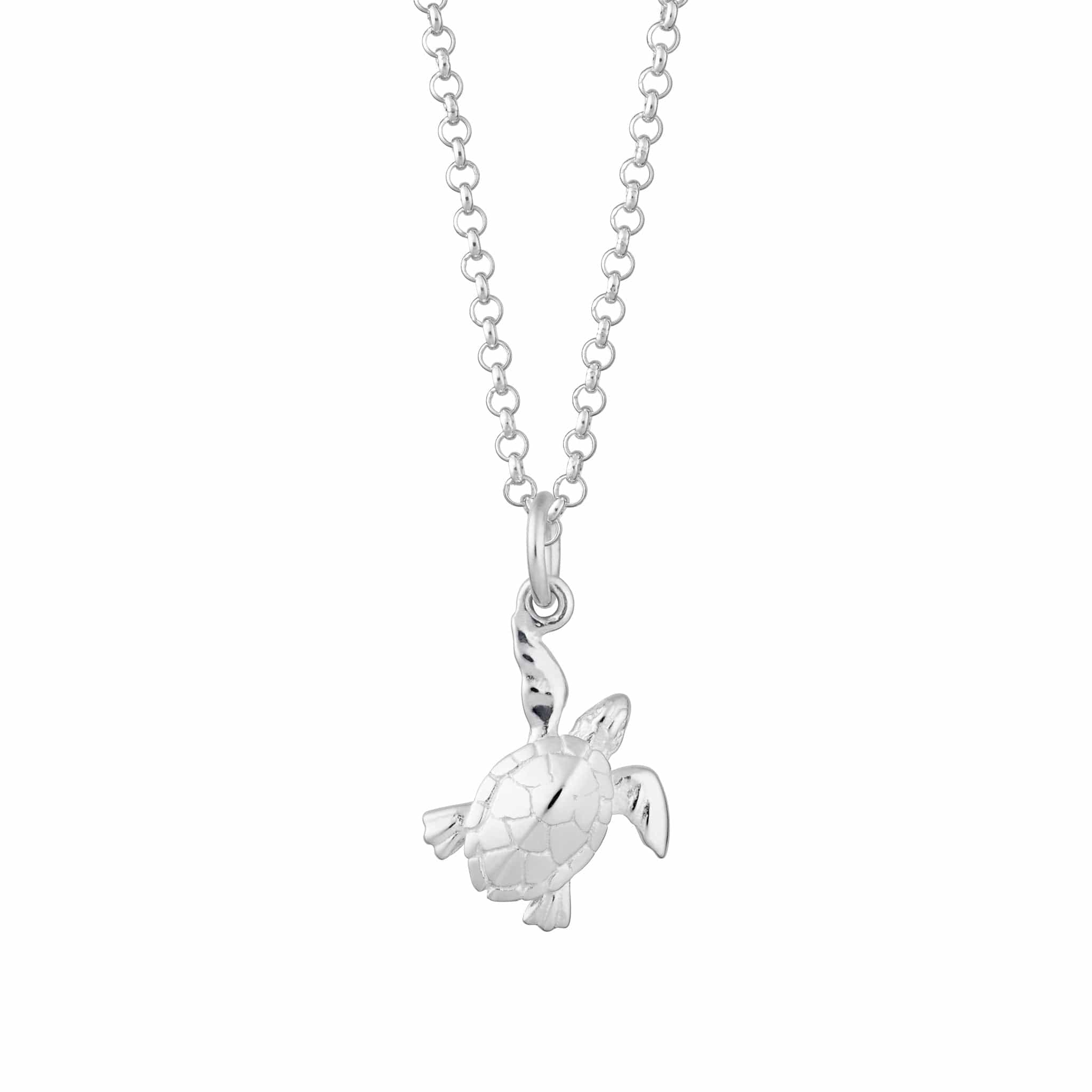 Silver Turtle Necklace