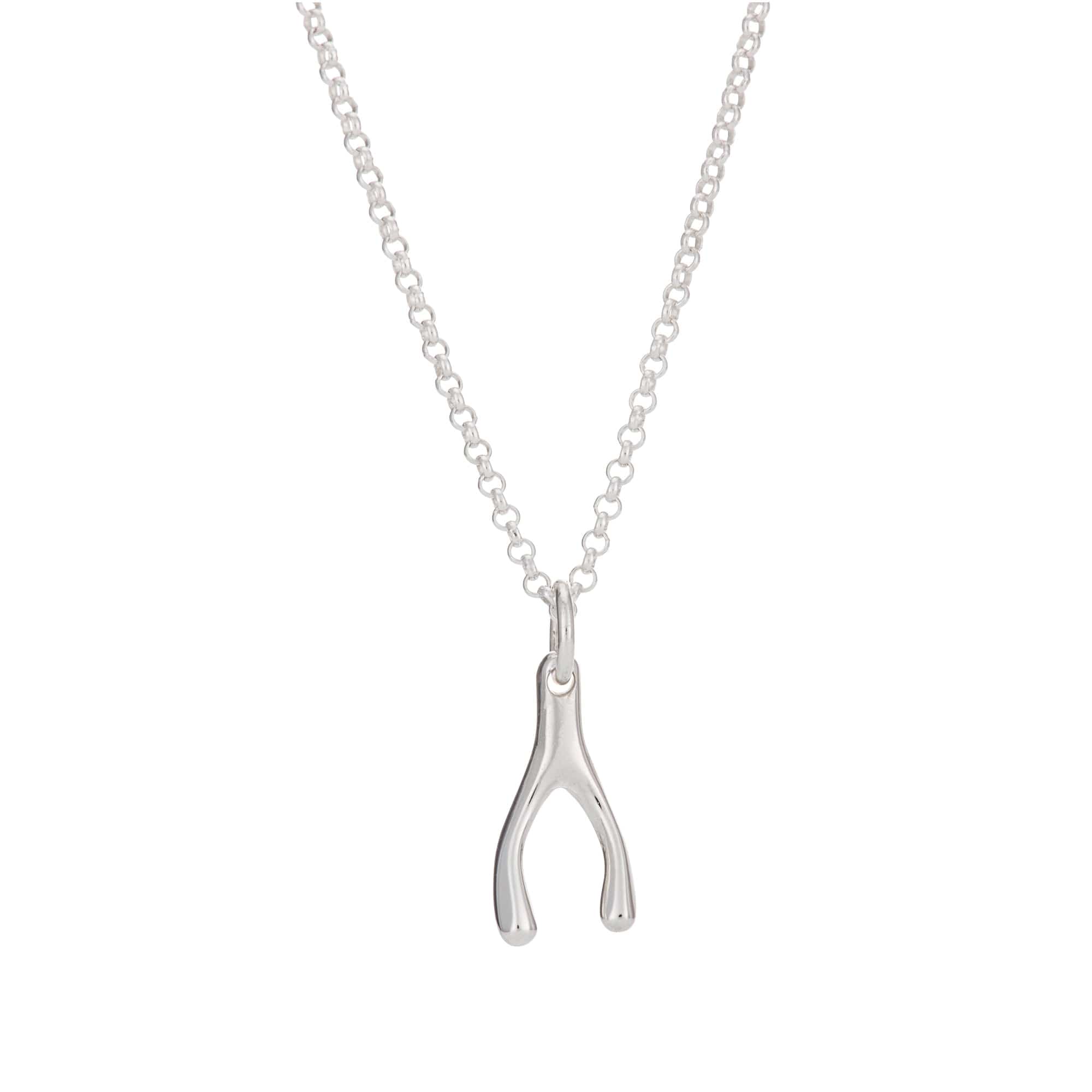 Silver Wishbone Necklace