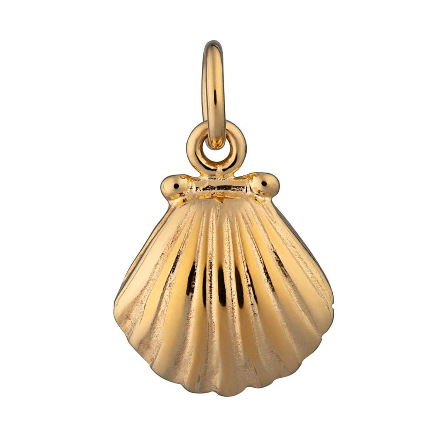Gold Plated Clam Shell Appeal