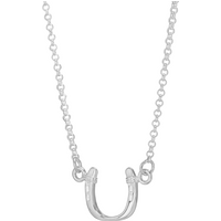 Silver Horseshoe Necklace