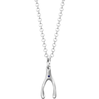 Silver and Sapphire Wishbone Necklace