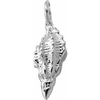 Silver Conch Shell Appeal