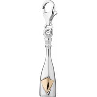Silver Champagne Bottle Appeal