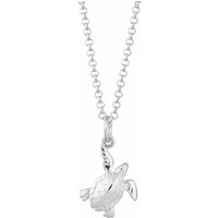 Silver Turtle Necklace