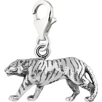 Silver Tiger Appeal