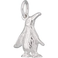 Silver Penguin Appeal