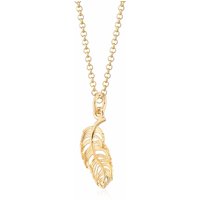 Gold Plated Feather Necklace