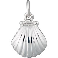 Silver Clam Shell Allure