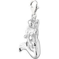 Silver Mermaid Appeal