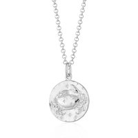 Silver Most cancers Zodiac Necklace
