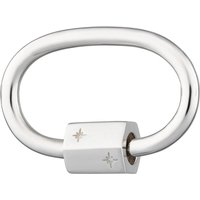 Silver Oval Carabiner Appeal Lock