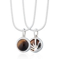 Silver Tigers Eye Therapeutic Stone Necklace (Braveness)