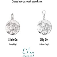Silver Zodiac Attraction