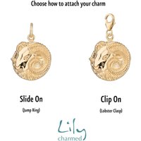 Gold Plated Zodiac Appeal