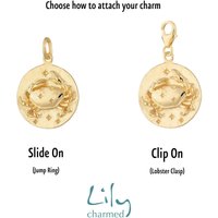 Gold Plated Zodiac Attraction