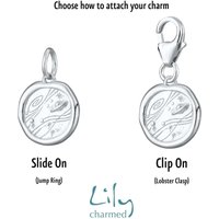 Silver Manifest Charms