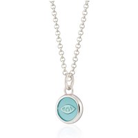 Silver Turquoise Eye Resin Seize Necklace