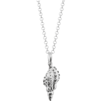 Silver Conch Shell Necklace