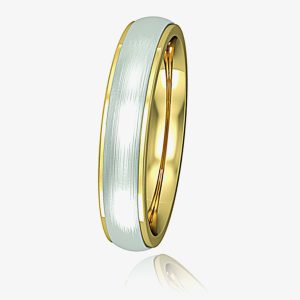 9ct Gold Two Colour 4mm Satin Court Ring R44E081-P