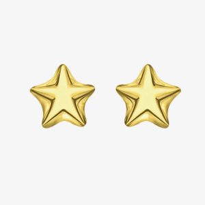 LUXE Silver Gold Plated Star Stud Earrings 8.55.5639