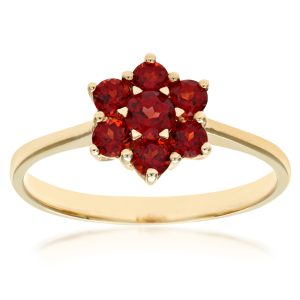 Diamant L’Eternel Womens Ladies 9ct Yellow Gold Garnet Cluster Ring – Size J