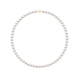 Diadema Womens – Necklace – True Japanese Akoya Cultured Pearl – Quality AA+ – White – Size 16.5 inches
