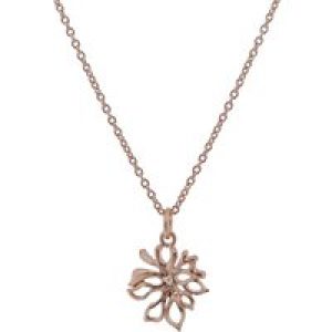 Orphelia WoMens 925 Sterling Silver Chain with Pendant – Rose ZH-6027/1 – One Size
