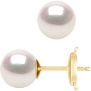 Diadema Womens – Earrings  True Japanese Akoya Cultured Pearl – Quality AA+ – White – One Size