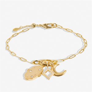 Joma Gold Little Hyperlinks Celestial Appeal Bracelet – Gold