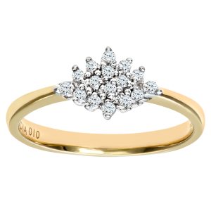 Diamant L’Eternel Womens 9ct Yellow Gold Diamond Cluster Ladies Ring – Size H