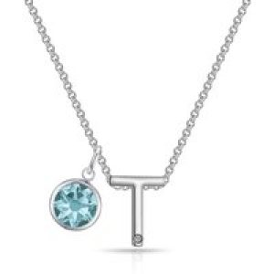Preliminary T Necklace with Birthstone Attraction Created with Zircondia® Crystals