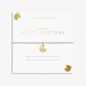 Joma Gold A Little Excellent Fortune Silver Bracelet – Gold