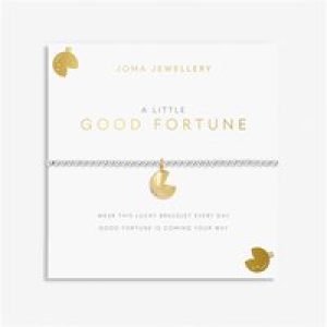 Joma Gold A Little Excellent Fortune Silver Bracelet – Gold