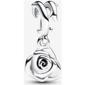 Pandora Rose in Bloom Dangle Charm