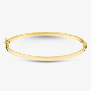 9ct Yellow Gold 3mm Tube Bangle 1.31.2111