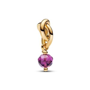 Pandora Gold February Eternity Circle Grasp Allure