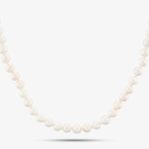 9ct Yellow Gold 18 Inch Akoya Pearl Necklace WAX011132