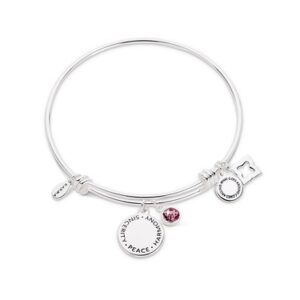 Karma February Birthstone Bangle – Silver