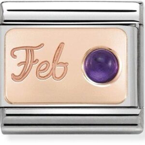 Nomination Rose Gold February Amethyst Allure