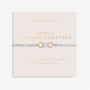 Joma 3 Tone Circle of relatives Perpetually Bracelet – Silver