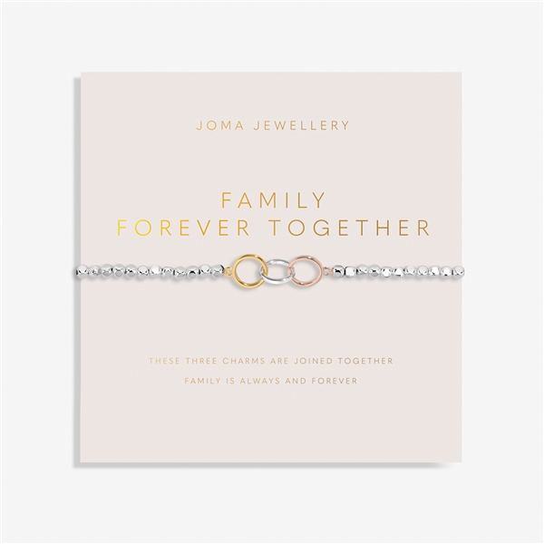 Joma 3 Tone Circle of relatives Perpetually Bracelet - Silver