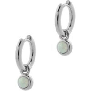 Search + In finding Function Silver Hoops – Silver